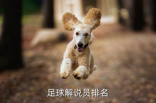 足球解說(shuō)員排名