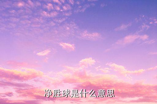  凈勝球是什么意思