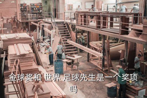 金球獎和 世界 足球先生是一個獎項(xiàng)嗎