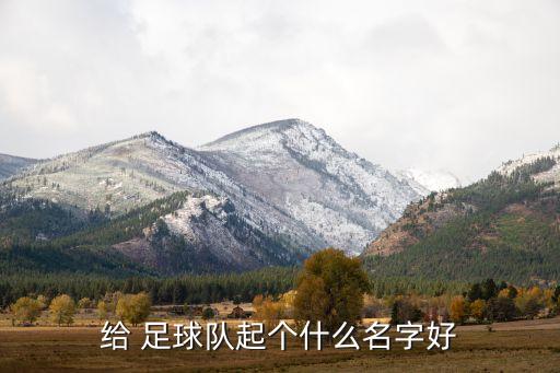 給 足球隊起個什么名字好