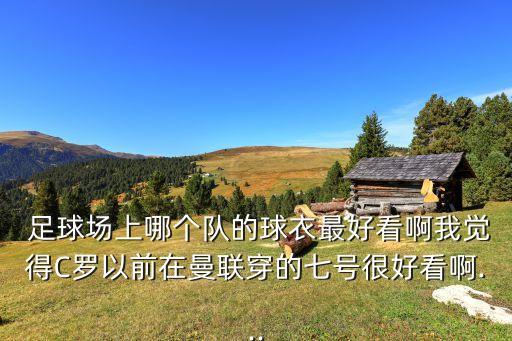  足球場上哪個隊的球衣最好看啊我覺得C羅以前在曼聯穿的七號很好看啊...