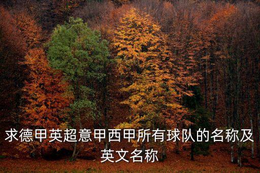 三亞足球俱樂部,三亞御翔英才足球俱樂部