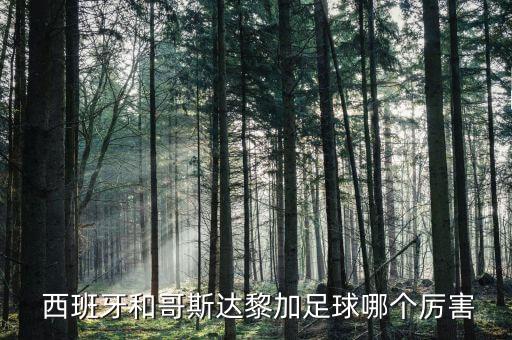  西班牙和哥斯達黎加足球哪個厲害