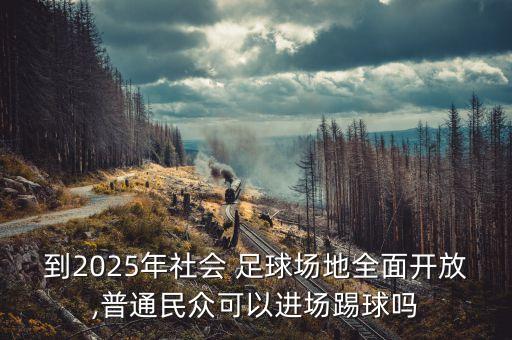 國(guó)家政策支持足球,廣州沒有國(guó)家政策支持