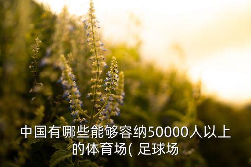 北京工體足球場面積,工體足球場2023效果圖
