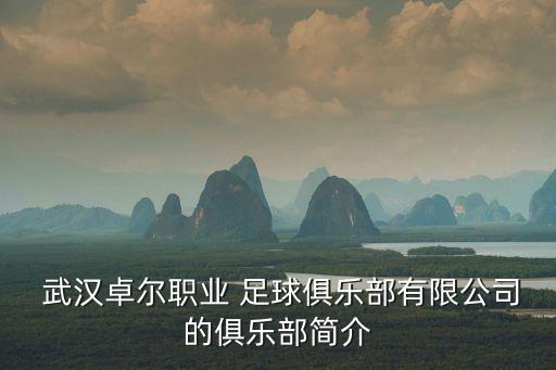  武漢卓爾職業(yè) 足球俱樂(lè)部有限公司的俱樂(lè)部簡(jiǎn)介