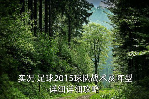  實況 足球2015球隊?wèi)?zhàn)術(shù)及陣型詳細(xì)詳細(xì)攻略