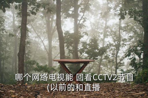 哪個網(wǎng)絡電視能 回看CCTV2節(jié)目(以前的和直播
