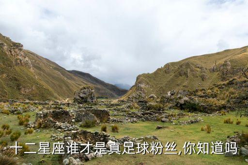 十二星座誰(shuí)才是真足球粉絲,你知道嗎