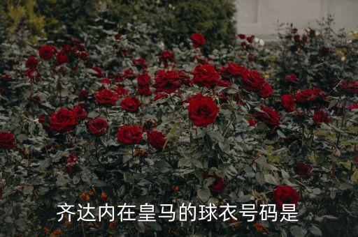 穿26號的足球明星,穿11號球衣的足球明星