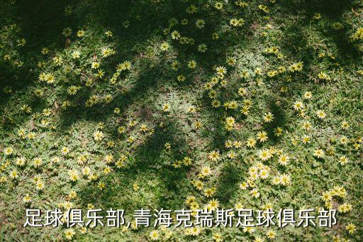 青海足球俱樂部,青?？巳鹚棺闱蚓銟凡?/></a></span><span id=