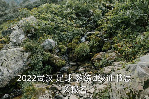 2022武漢 足球 教練d級(jí)證書怎么報(bào)名