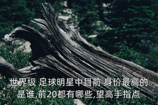 世界級 足球明星中目前 身價最高的是誰,前20都有哪些,望高手指點