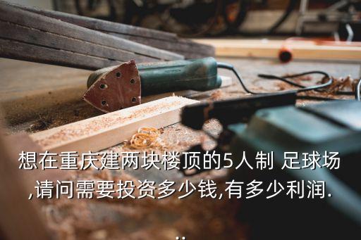 想在重慶建兩塊樓頂?shù)?人制 足球場,請問需要投資多少錢,有多少利潤...