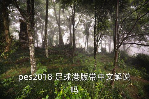 pes2018 足球港版帶中文解說(shuō)嗎
