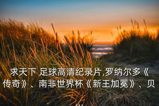 求天下 足球高清紀(jì)錄片,羅納爾多《傳奇》、南非世界杯《新王加冕》、貝...