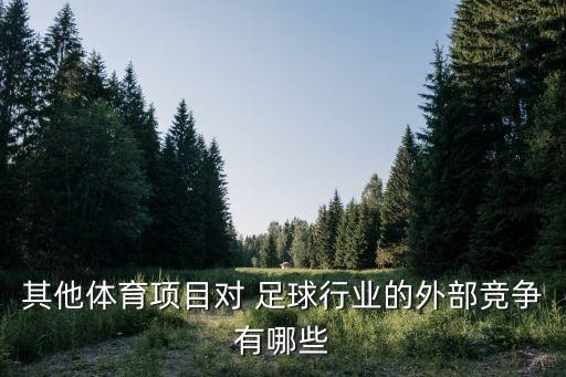 其他體育項(xiàng)目對(duì) 足球行業(yè)的外部競(jìng)爭(zhēng)有哪些
