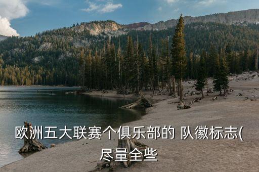 世界足球哪個(gè)隊(duì)徽好看,哪個(gè)足球俱樂(lè)部隊(duì)徽好看