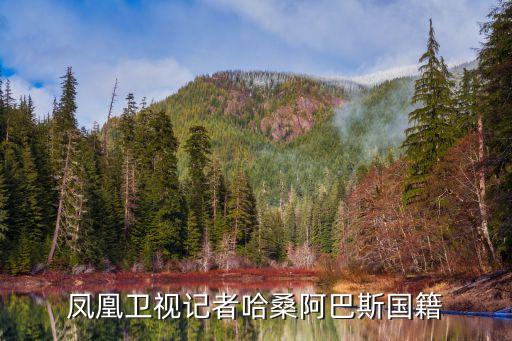 鳳凰衛(wèi)視記者哈桑阿巴斯國籍