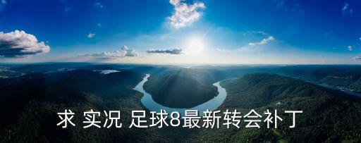 求 實(shí)況 足球8最新轉(zhuǎn)會補(bǔ)丁