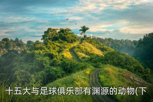 中國國家足球隊吉祥物,足球隊吉祥物圖片大全