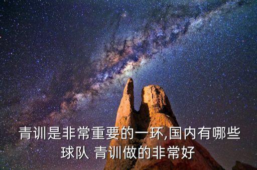  青訓(xùn)是非常重要的一環(huán),國(guó)內(nèi)有哪些球隊(duì) 青訓(xùn)做的非常好