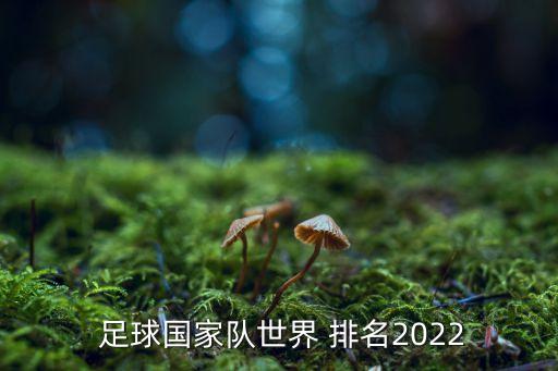  足球國家隊(duì)世界 排名2022