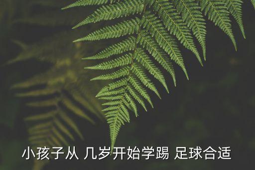 小孩子從 幾歲開始學(xué)踢 足球合適