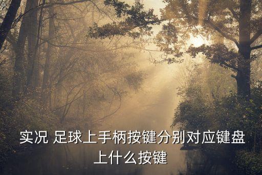  實況 足球上手柄按鍵分別對應鍵盤上什么按鍵