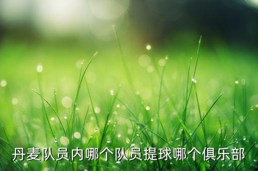 哥本哈根足球隊(duì)奪冠