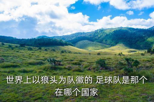 有名的足球隊徽,足球隊徽logo設(shè)計免費
