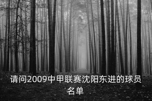 請(qǐng)問(wèn)2009中甲聯(lián)賽沈陽(yáng)東進(jìn)的球員名單