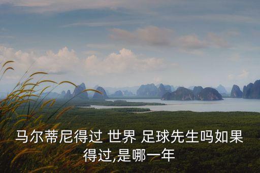 馬爾蒂尼得過 世界 足球先生嗎如果得過,是哪一年