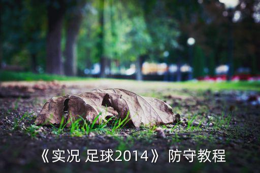 《實(shí)況 足球2014》 防守教程