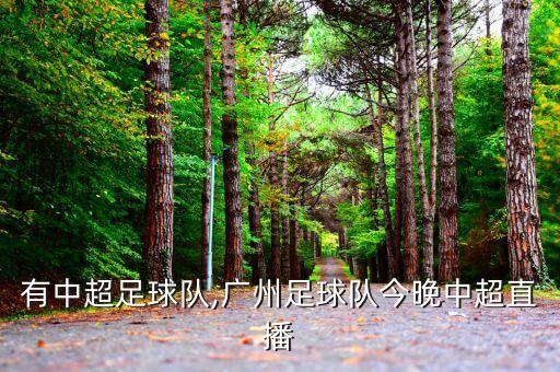 湖南有中超足球隊(duì),廣州足球隊(duì)今晚中超直播