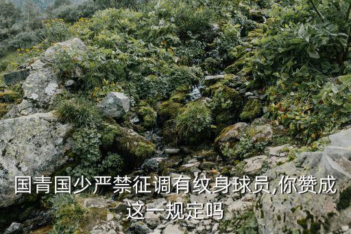 我們的足球夢視頻,足球夢舞蹈視頻