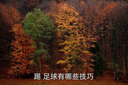 踢 足球有哪些技巧