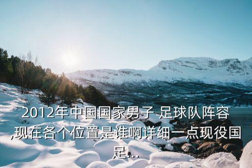 2012年中國國家男子 足球隊(duì)陣容,現(xiàn)在各個(gè)位置是誰啊詳細(xì)一點(diǎn)現(xiàn)役國足...