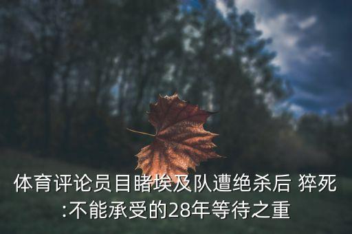 體育評(píng)論員目睹埃及隊(duì)遭絕殺后 猝死:不能承受的28年等待之重