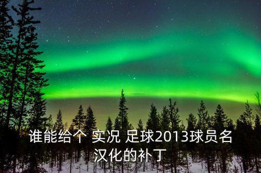 誰(shuí)能給個(gè) 實(shí)況 足球2013球員名漢化的補(bǔ)丁
