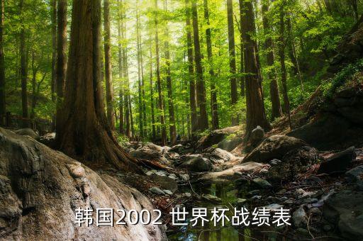  韓國2002 世界杯戰(zhàn)績表