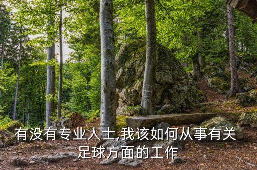 有沒有專業(yè)人士,我該如何從事有關(guān) 足球方面的工作