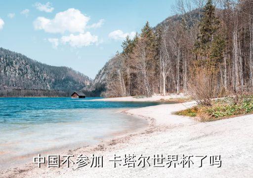 中國(guó)不參加 卡塔爾世界杯了嗎