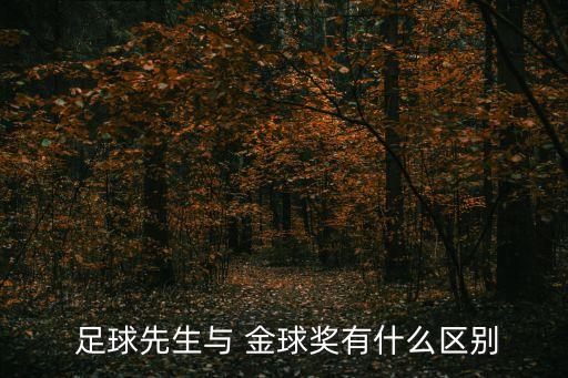  足球先生與 金球獎(jiǎng)有什么區(qū)別