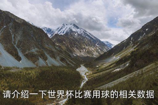請介紹一下世界杯比賽用球的相關(guān)數(shù)據(jù)