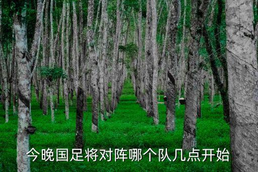 今晚國足將對陣哪個隊幾點開始