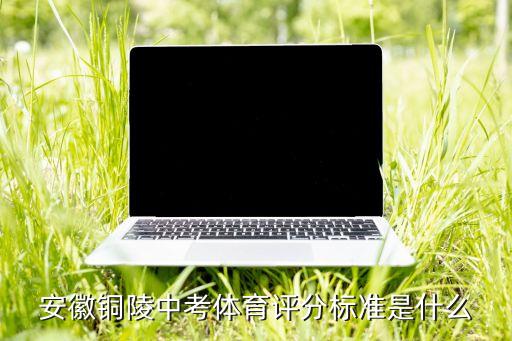 安徽銅陵中考體育評分標(biāo)準(zhǔn)是什么
