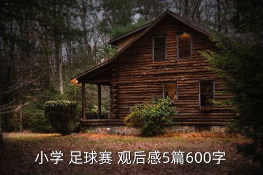 中國(guó)足球賽觀后感,足球賽觀后感300字