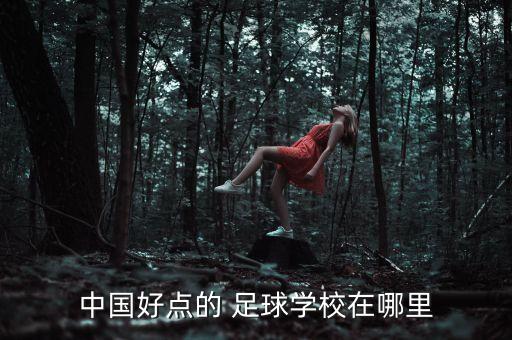 中國好點(diǎn)的 足球?qū)W校在哪里
