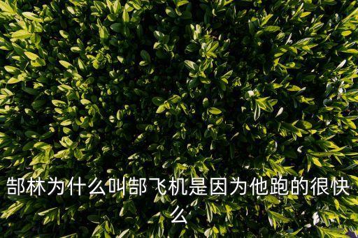 郜林為什么叫郜飛機(jī)是因為他跑的很快么
